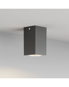 it-Lighting Cowart GU10 Outdoor Ceiling Down Light Anthracite 80300644